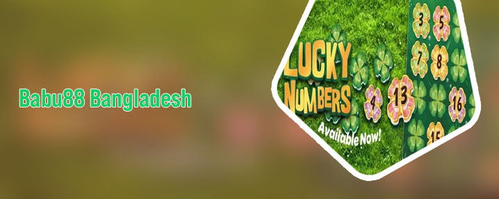 Babu88 lucky numbers prediction